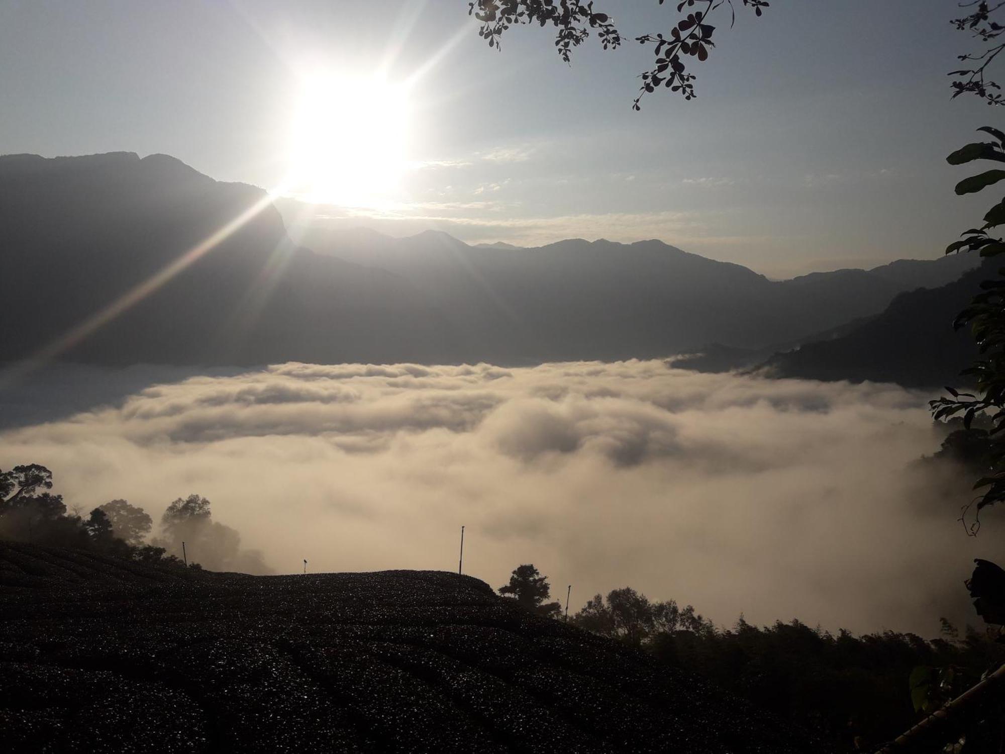 Alishan Shanyunhua B&B Homestay Meishan Exterior foto
